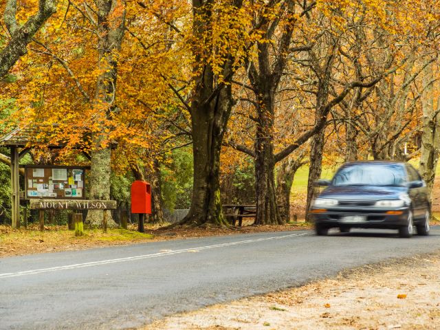 Mount Wilson in the Blue Mountains, NSW