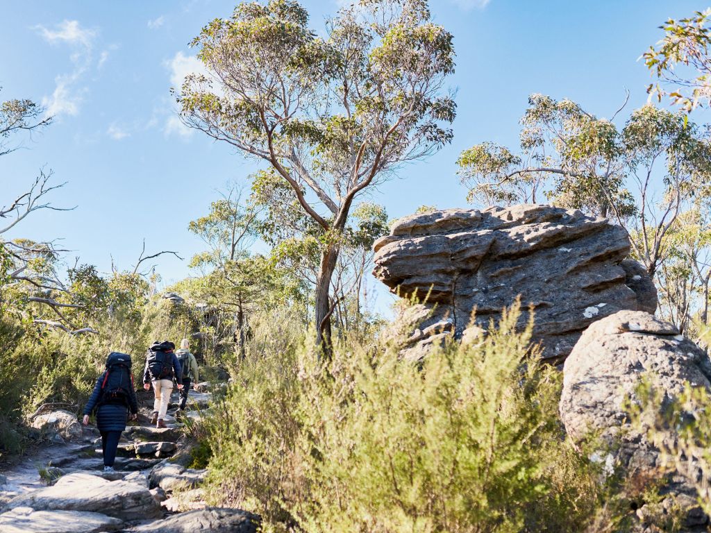 Climbing steps on Grampians Peaks Trail