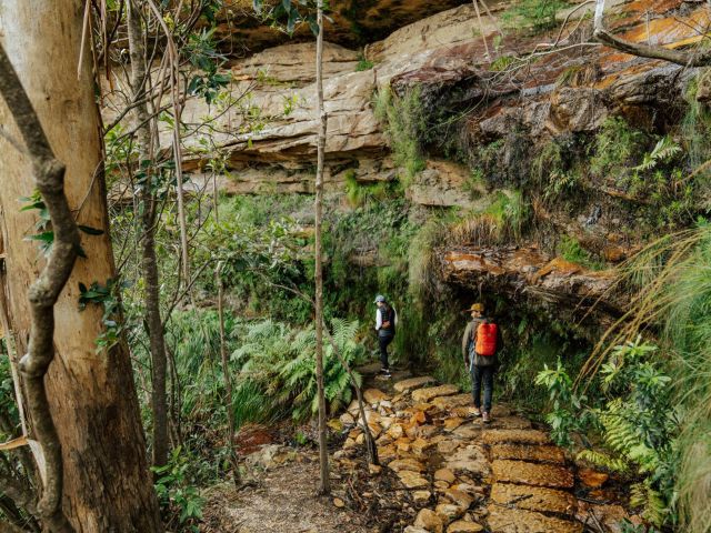 A couple hiking the Grand Cliff Top Walk in the Blue Mountains
