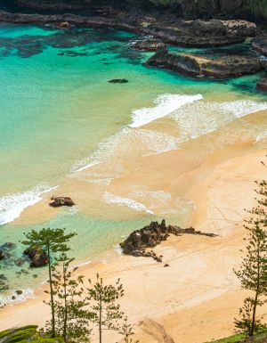 Aerial shot of beach on Norfolk Island