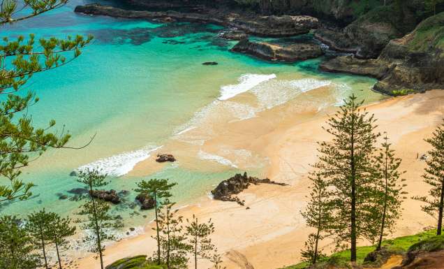 Aerial shot of beach on Norfolk Island