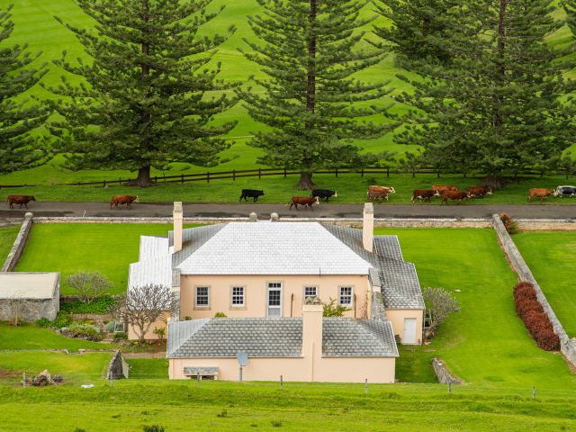 Aerial shot of Norfolk Island cows