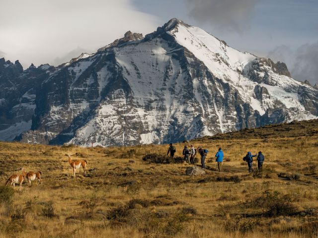tierra patagonia wildlife
