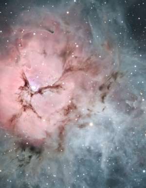 Triffid seen on astronomy tours on the Sunshine Coast