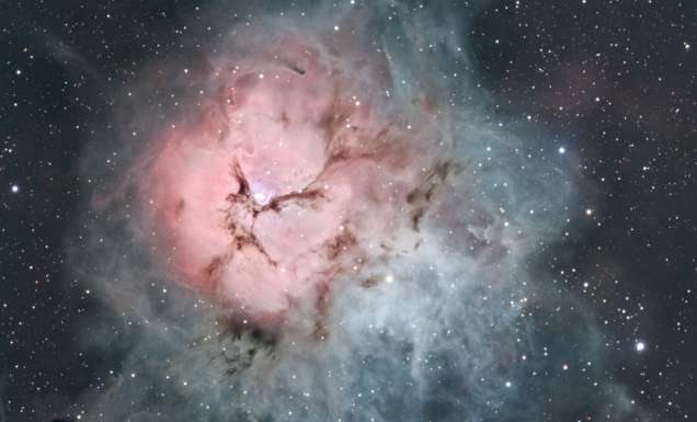 Triffid seen on astronomy tours on the Sunshine Coast