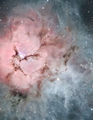 Triffid seen on astronomy tours on the Sunshine Coast