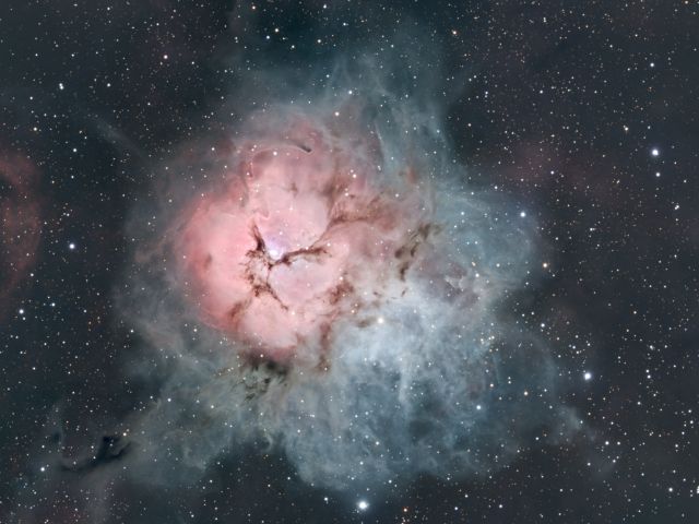 Triffid seen on astronomy tours on the Sunshine Coast