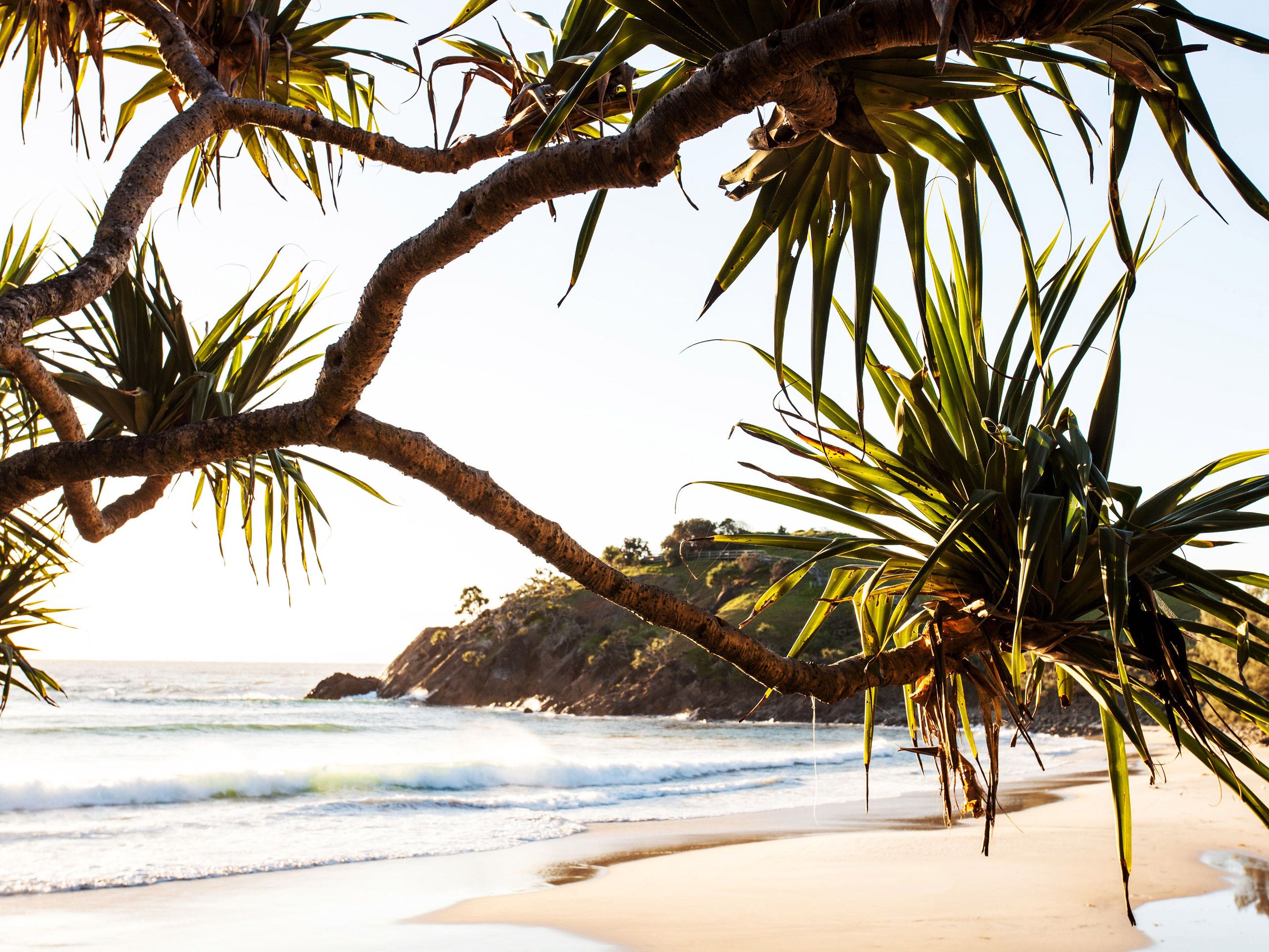 Cabarita Beach