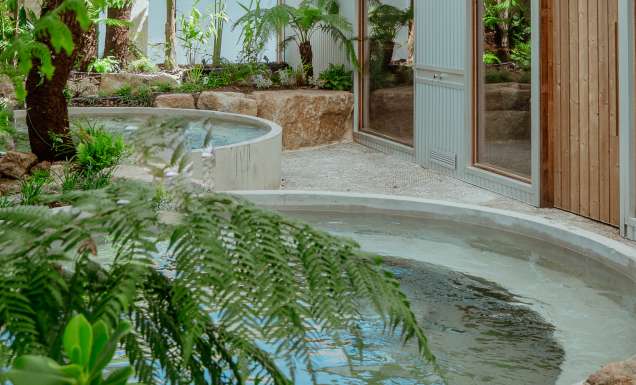 Tropical greenery and a bath at Inner Studio
