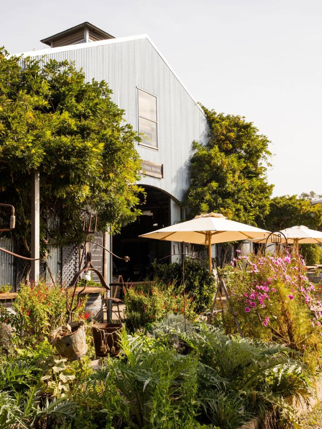 Lowe Winery in Mudgee NSW