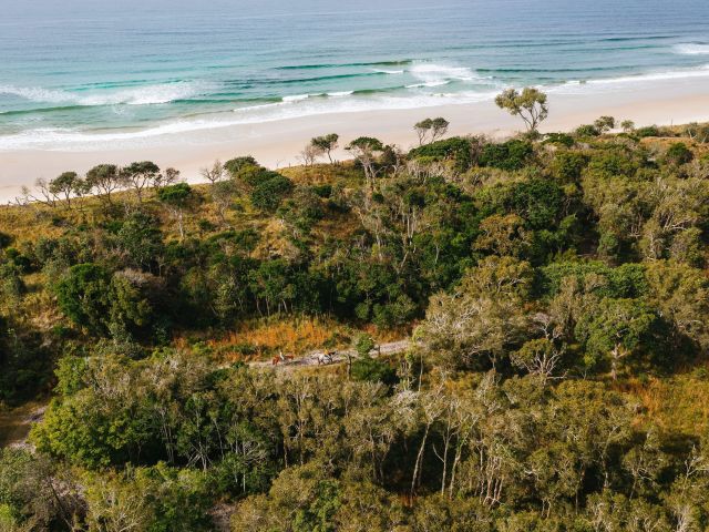 Zephyr Horses, Byron Bay