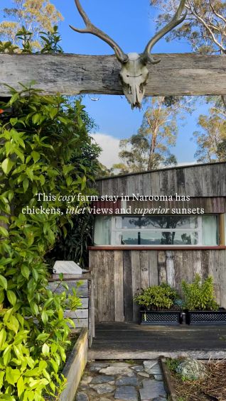 Visiting Anchorage Farm in Narooma