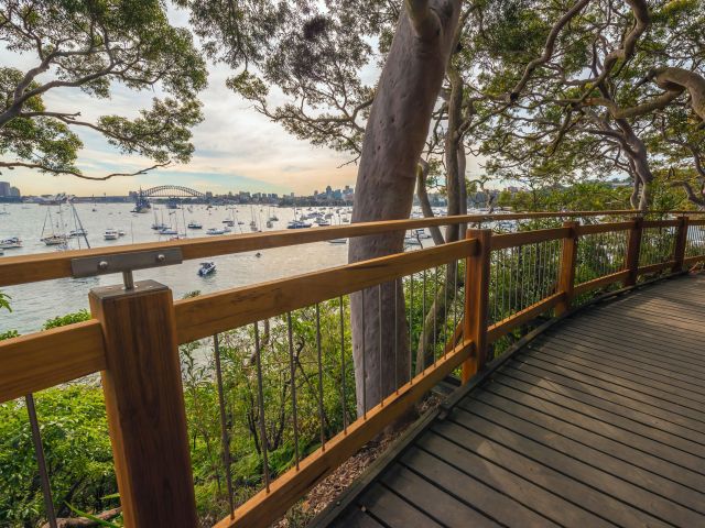Bradleys Head to Chowder Bay walk, Sydney Harbour National Park
