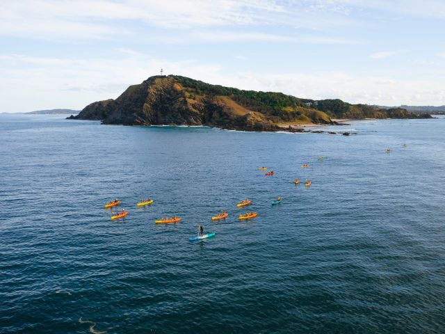 Cape Byron Kayaks loop around the headland in Byron Bay
