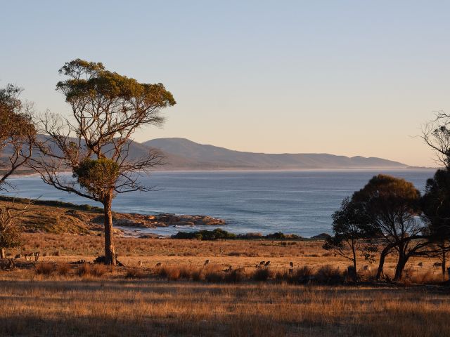 coastal views in Bicheno, Tas