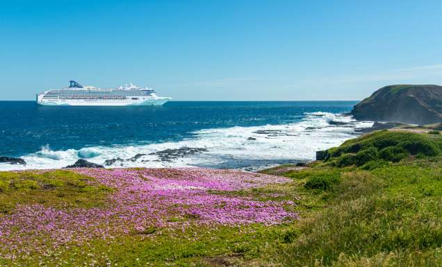 Norwegian Spirit sailing near Phillip Island