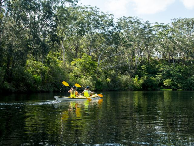 Kayakers on Lane Cove River, Lane Cove National Park