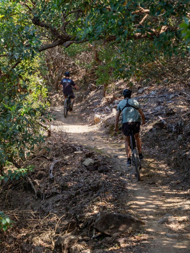 mountain bikers on Hamilton Island wellness
