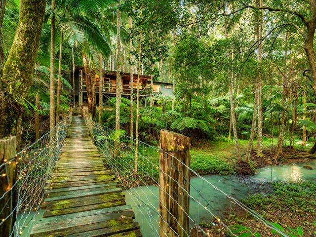 Magical Rainforest Retreat northern rivers airbnb