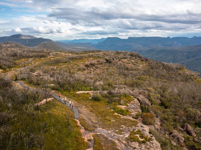 Mount Bushwalker walking track, Morton National Park