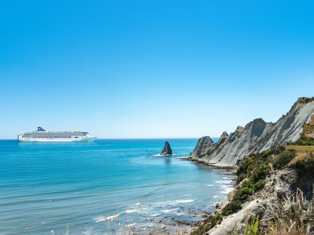 Norwegian Spirit sailing by Cape Kidnappers, NZ