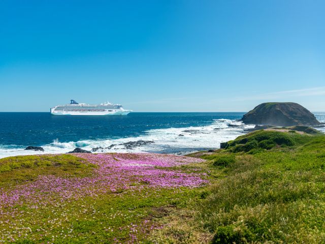 Norwegian Spirit sailing near Phillip Island