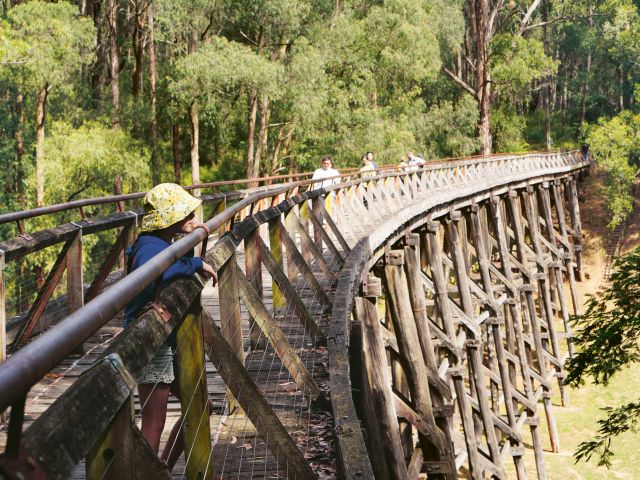 Crossing the Noojee Trestle Bridge in Gippsland