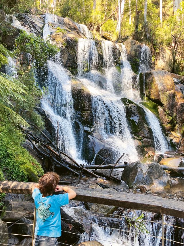 Boy admiring the waterfall near the Noojee Trestle Bridge