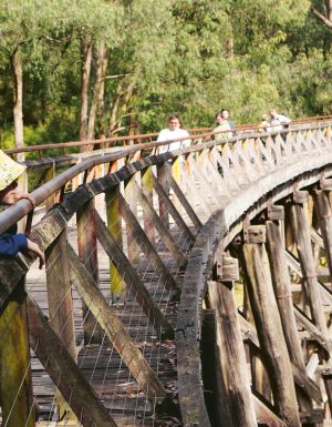 Crossing the Noojee Trestle Bridge in Gippsland