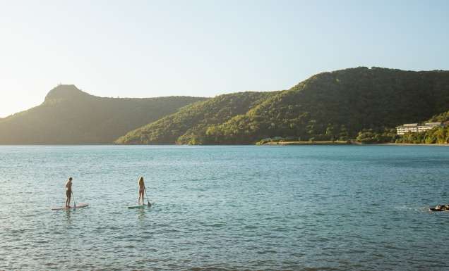 people on sup boards at the sundays hamilton island