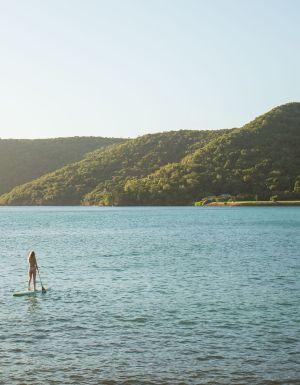 people on sup boards at the sundays hamilton island