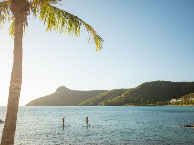 people on sup boards at the sundays hamilton island