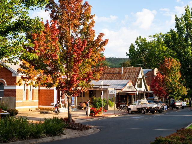 Bright streetscape in autumn