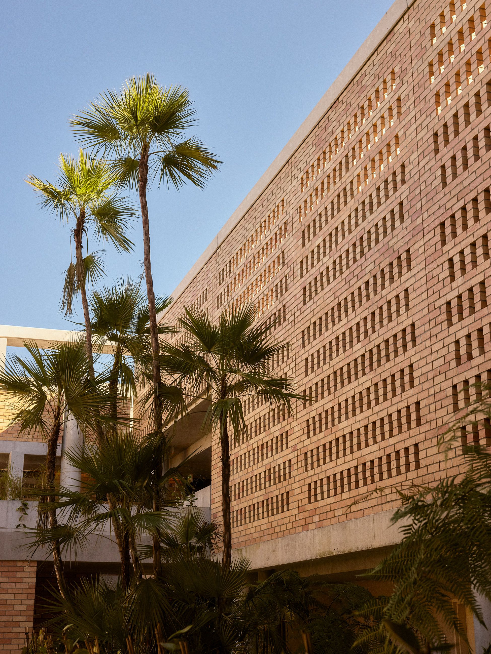 Exterior of the Bonobo by Raes