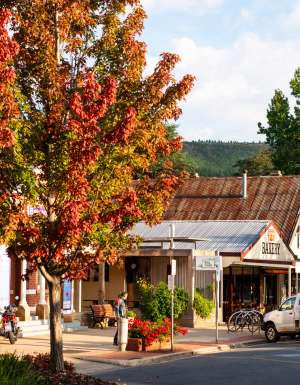 Bright streetscape in autumn