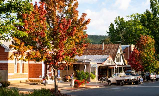 Bright streetscape in autumn