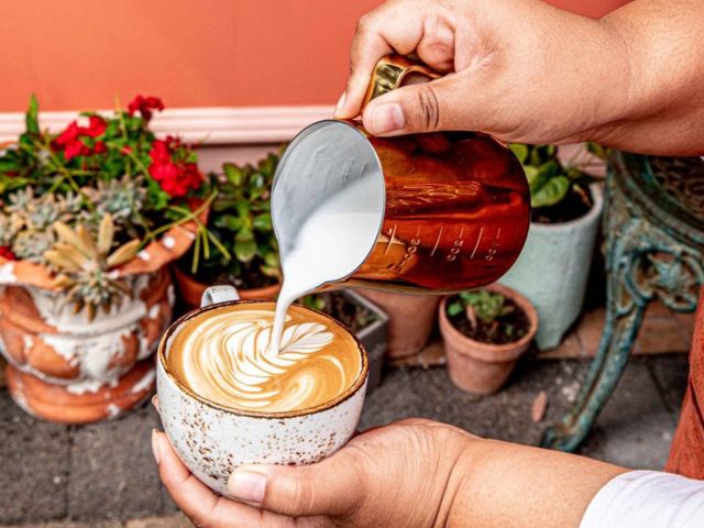 coffee at Cafe Toscano, Forster