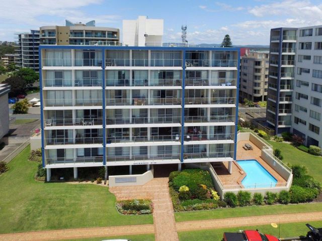 Dorsal by the Sea, Forster