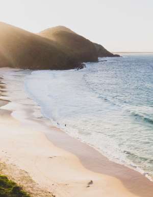 Booti Walking Track, Booti Booti National Park