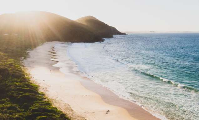 Booti Walking Track, Booti Booti National Park