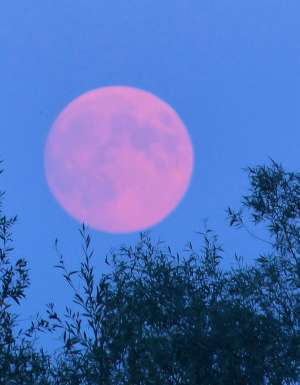 A pink-hued full moon in the sky