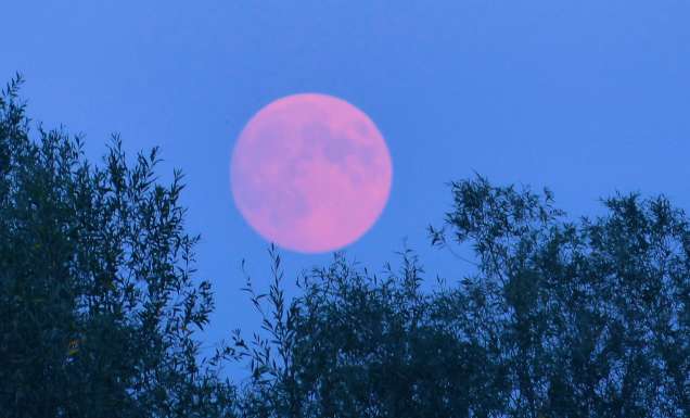 A pink-hued full moon in the sky