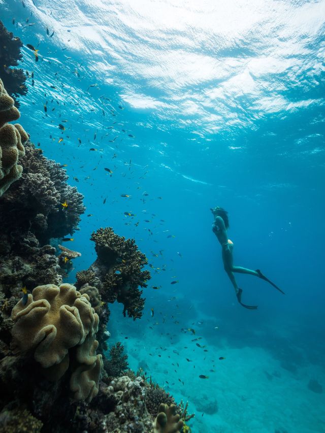 A woman snorkelling in the crystal-clear waters of the Great Barrier Reef.