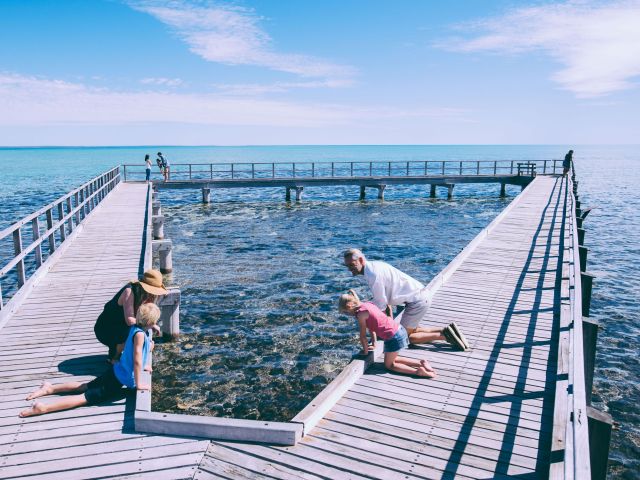 hamelin pool shark bay