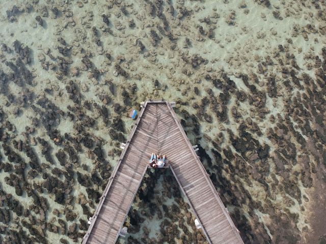 hamelin pool boardwalk