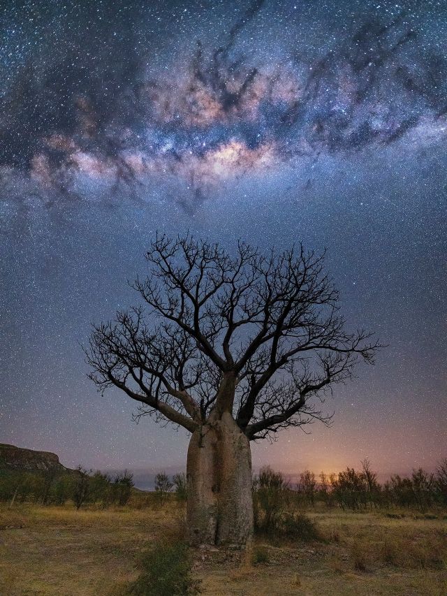 Cockburn Range East Kimberley stargazing