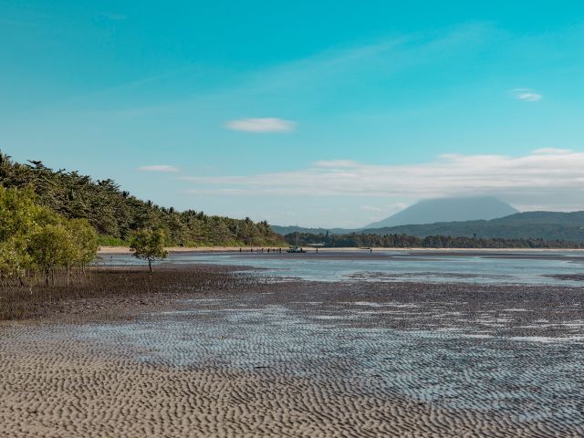 Coya Beach port douglas