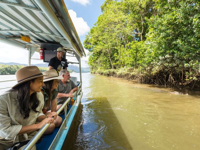 People spot a crocodile from the safety of a boat on the Daintree