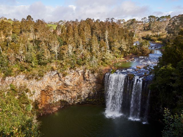 Dangar Falls at Dorrigo.