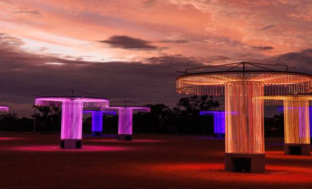 Bruce Munroe's Fibre Optic Symphoinic Orchestra Murray at night